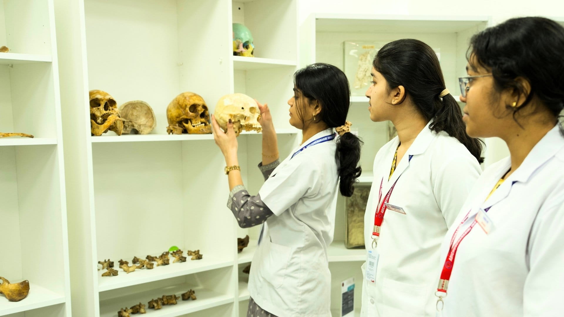 AIMS Anatomy department